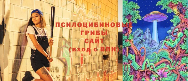 тгк Зеленодольск