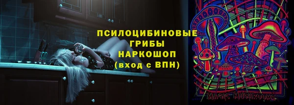 тгк Зеленодольск