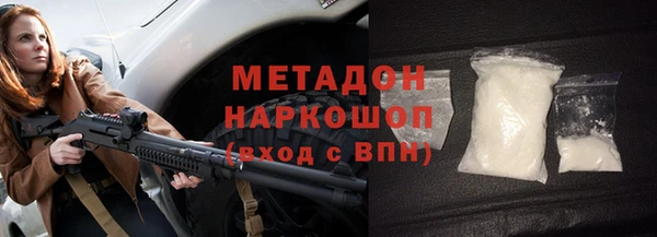сатива Инта
