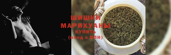 сатива Инта