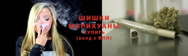 сатива Инта