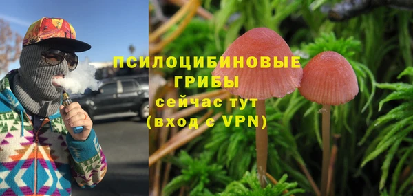 круглые Иннополис