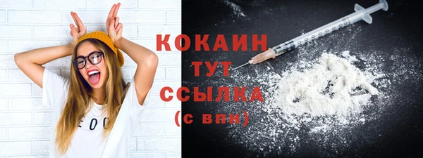 сатива Инта