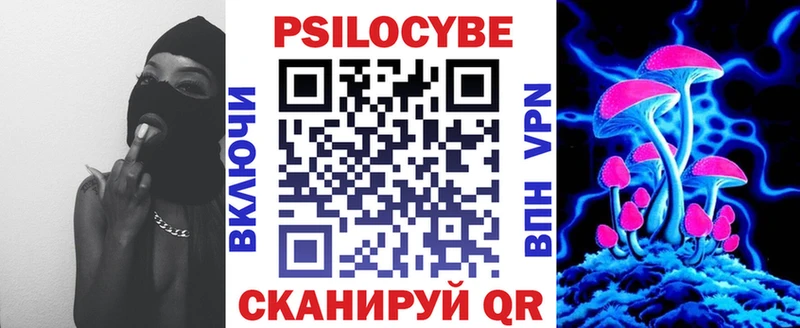 Псилоцибиновые грибы Psilocybe  Старая Русса 