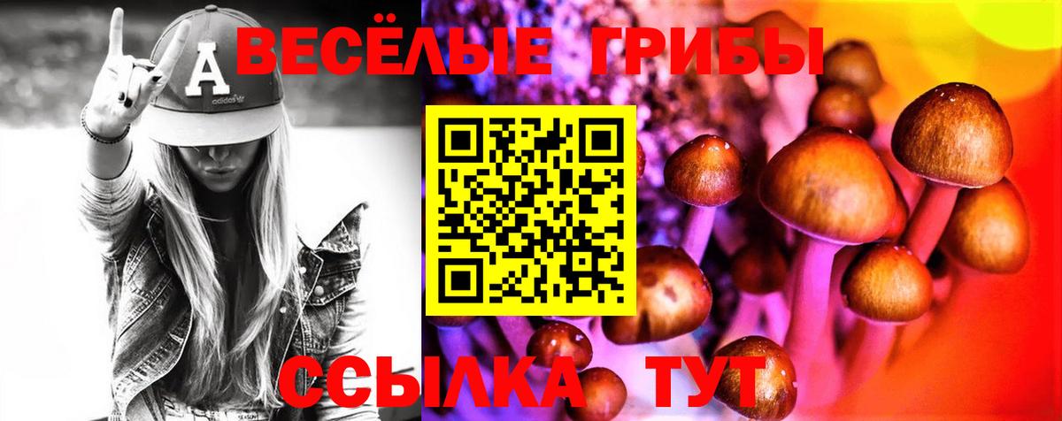 Псилоцибиновые грибы Cubensis Старая Русса