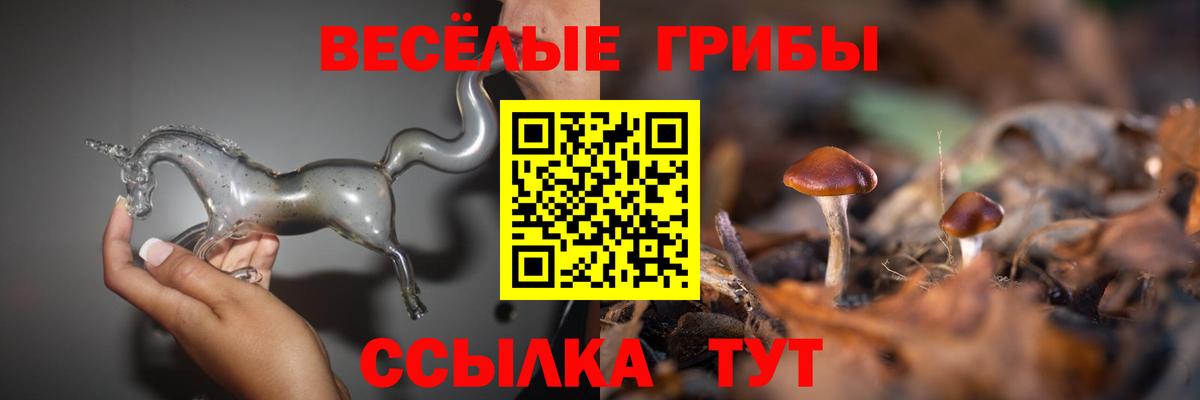 Галлюциногенные грибы GOLDEN TEACHER  Вход с VPN  Старая Русса 